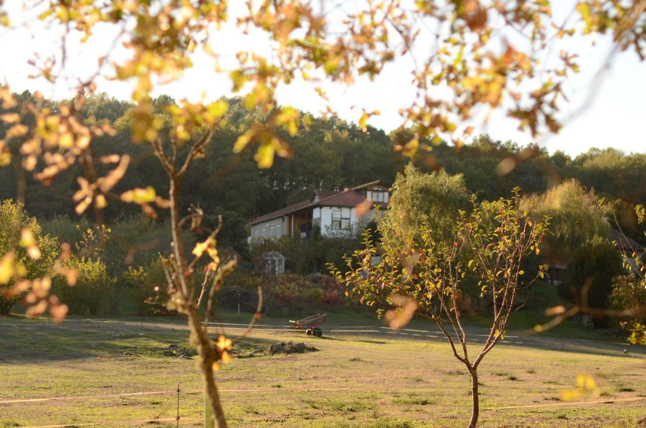 Torre Tanquian Eco Finca - Ribeira Sacra Pantón Eksteriør bilde